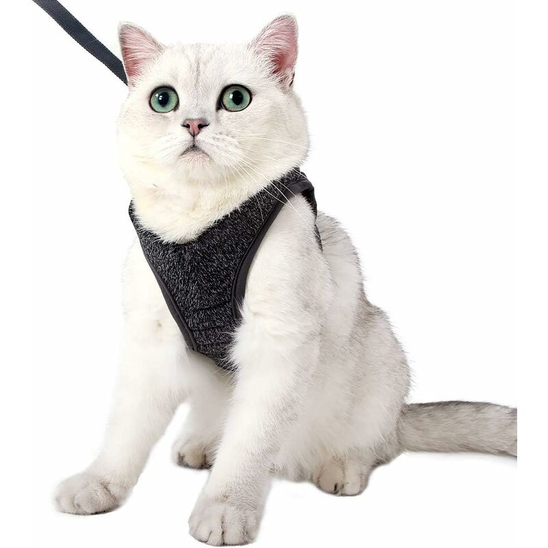 Harnais pour Chat - Ensemble de Harnais et Laisse Chat Ultra-Léger Harnais Chaton Réglable Anti-Fuite pour Chiot Lapin Furet(Gri,M) - Langray