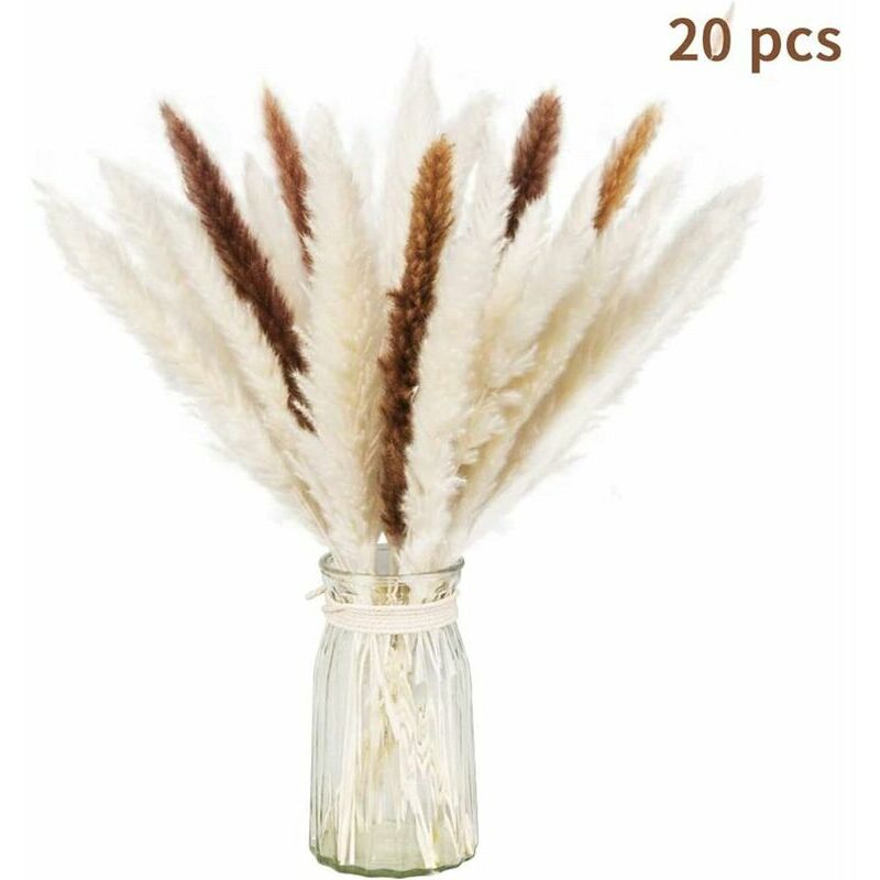 Ulisem - Lot séché naturel d'herbe de pampa sèche pour la décoration intérieure 20 pièces (blanc + marron)