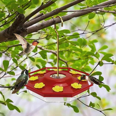 colo 15 cm Colibri Beeztees 48553 Supporto in metallo per burro di arachidi in vetro 