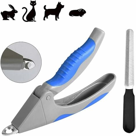 Pet Nail Clippers : Amazon.com: Coastal Pet Safari Dog Diamond Nail File -  Diamond Finish for Smooth Nails - Removes Burs from Outdoor & Indoor Dogs -  One Size