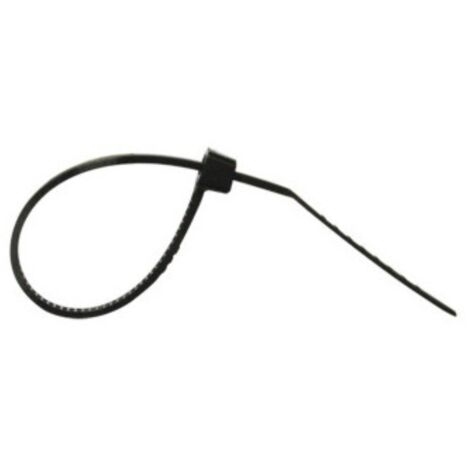Lanière 100 x 2,5 mm, 100 pièces - Restagraf