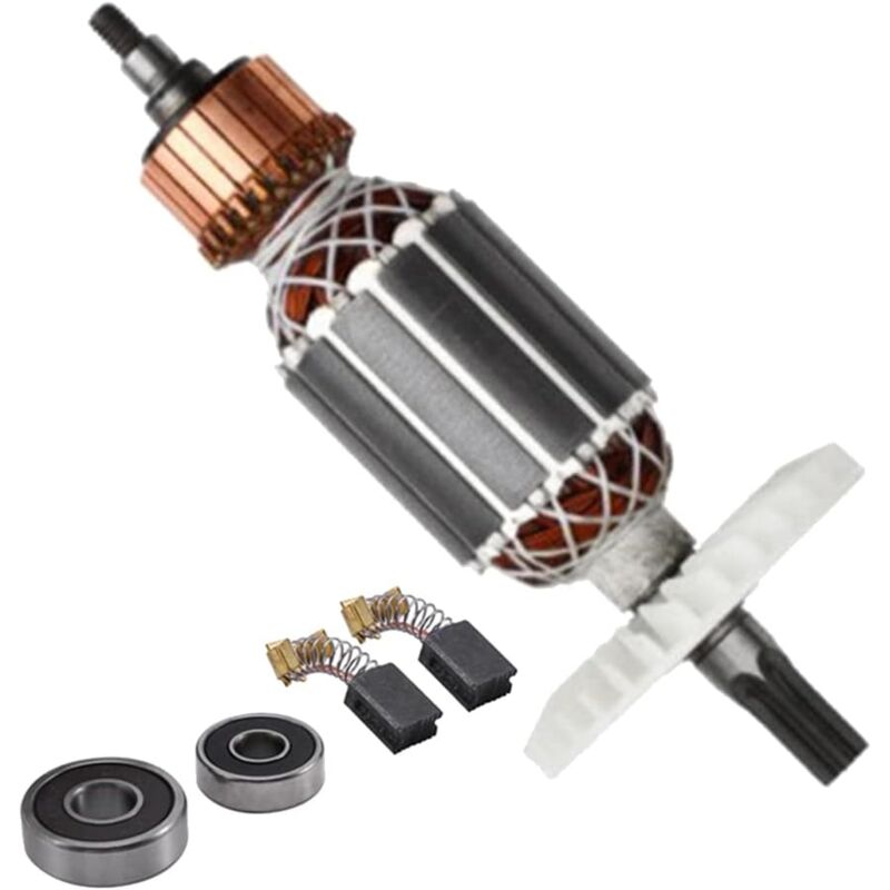 Laoa - Remplacement D'Ancre de 220V pour 360591E DH40MRY DH40M DH40MR DH40SR Marteau Rotatif à Tige CanneléE