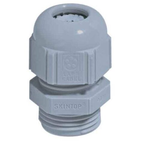 LAPP 53015070 Pressacavo filettato PG36 Poliammide Grigio-Argento (RAL 7001) 1 pz.
