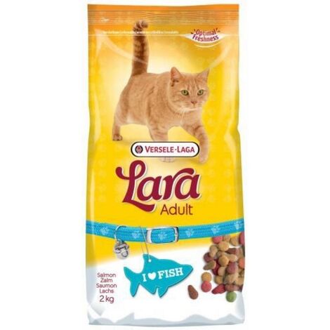 Lara adulta con salmone 2 kg