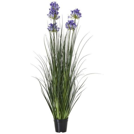 Large Agapanthus Plant in Pot - Plastic - Height 120 cm - Blue