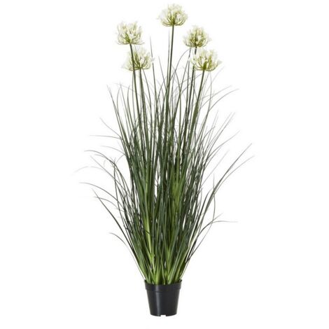 Large Agapanthus Plant in Pot - Plastic - Height 120 cm - White