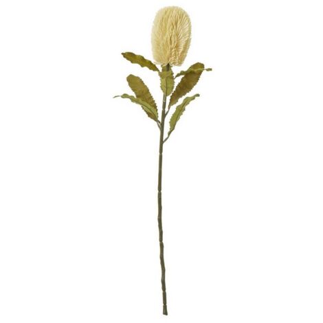 Large Banksia Serrata (Single Stem Flower) - Plastic - Height 65 cm - Cream