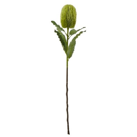 Large Banksia Serrata (Single Stem Flower) - Plastic - Height 65 cm - Green