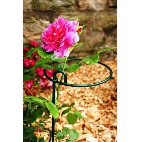 Large Bunch Support Rust (Pack of 4) - Steel - L30.5 x W30.5 x H86 cm - Bare Metal/Ready to Rust