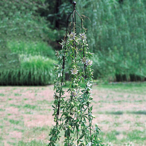 Large Classic Climbing Column, Garden Obelisk, Plant Support - Solid Steel - H205.7 cm - Adjustable Diameter - Black