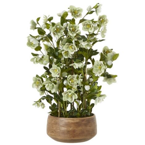 Large Hellebore in Pot - Plastic - L52 x W52 x H85 cm - Green/Taupe