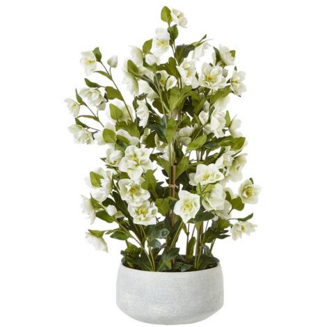 Large Hellebore in Pot - Plastic - L52 x W52 x H85 cm - White/Grey