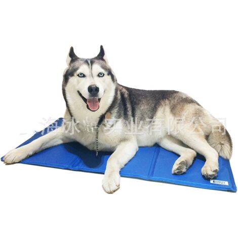 Large / Medium Dog Bed Portable Waterproof Dog Mat Multifunctional Family Picnic Blanket 50x40cm Portable Cushion with Brush for Dogs / Cats (Blue)