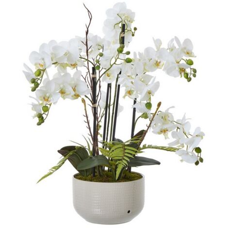 Large Orchid in Pot - Plastic/Ceramic - L60 x W65 x H76 cm - White