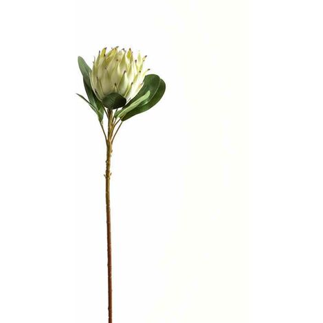 Large Protea Artificial Plant - Plastic - L21 x W21 x H73 cm - White