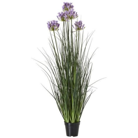 Large Purple Agapanthus Plant in Pot - Plastic - L14 x W14 x H120 cm - Green