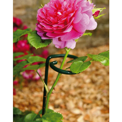Large Single Stem Support (Pack of 4) - Steel - L5.1 x W5.1 x H91.4 cm - Green
