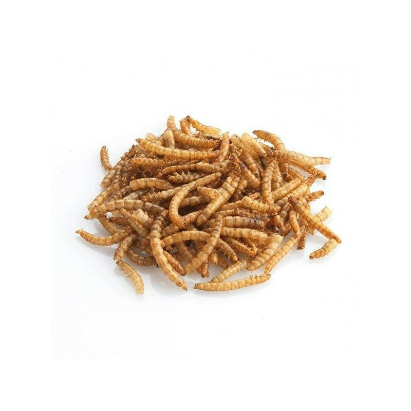 

Vadigran - Bolsa de gusanos de carne 500G. para aves.