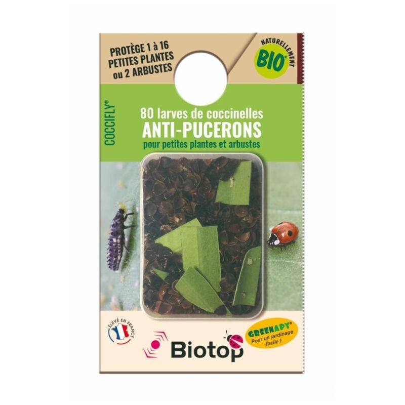 Biotop - 80 larves coccinelles anti-pucerons - Coccifly