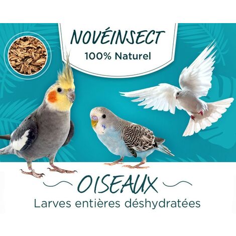 Larves entières déshydratées pour vos oiseaux pots de 90 grammes - aliment complémentaire