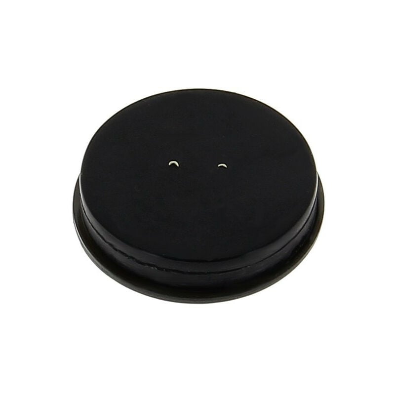 Apiculture.net - Larves étalon