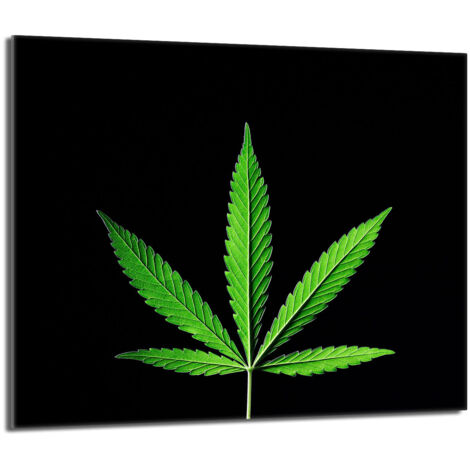Lastra di protezione in vetro per stufa 60x52 Leaf