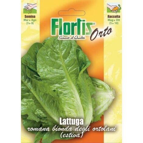 LATTUGA BIONDA ORTOLANI
