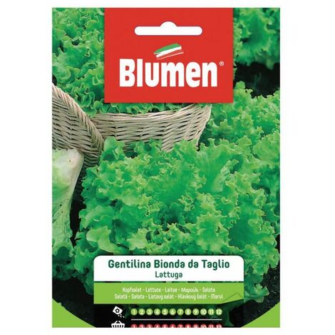 LATTUGA GENTILINA BIONDA DA TAGLIO BLUMEN