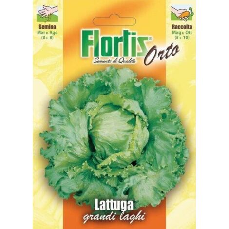 LATTUGA GRANDI LAGHI