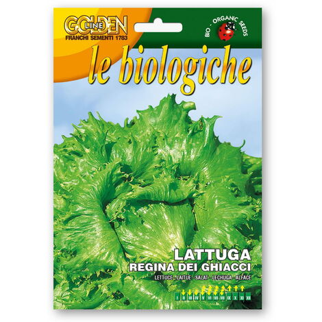 Sementi d'eccellenza: PALLA DI NEVE - Blumen Vegetable Seeds