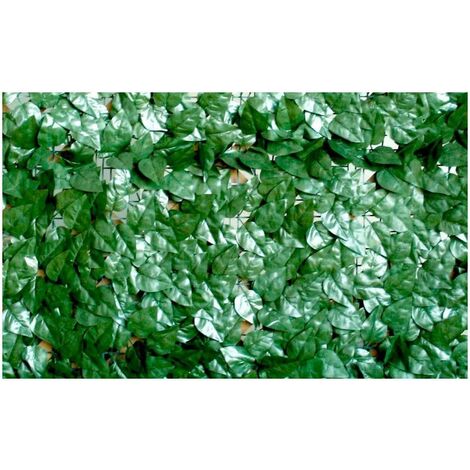Laurel de hoja perenne 1x3 m