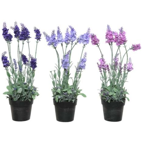 EVERLANDS Lavanda artificiale colori assortiti