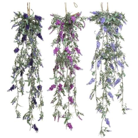 Lavanda da appendere colori assortiti