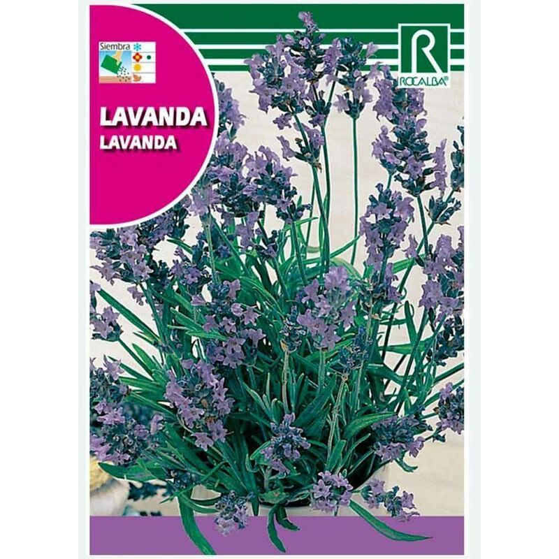 

Lavanda - Sobre De Semillas 1 G