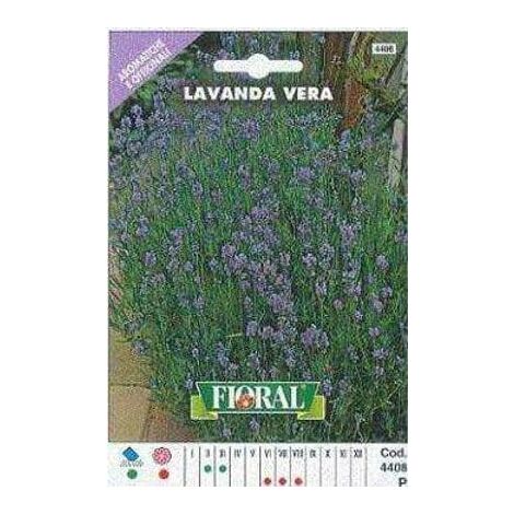 Lavanda Vera - Busta Sementi Aromatica