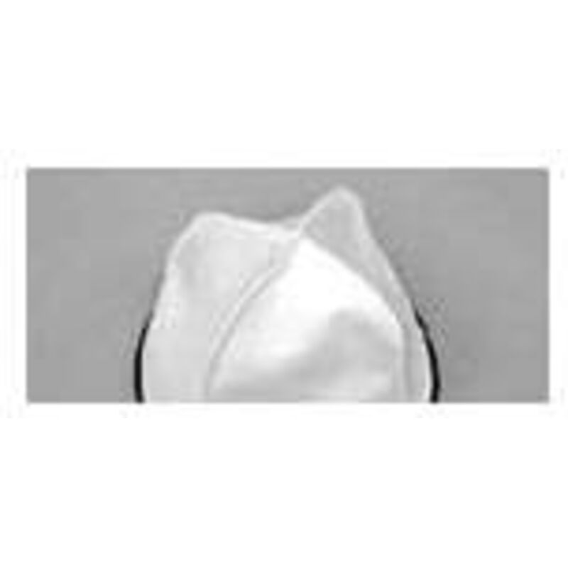 Filtro in Panno per Bidone Aspiratutto Lavor Serie GB 50 XE e Aspirapolvere Wash 5 209 0052, Compatibile con Modelli Ashley 100/300