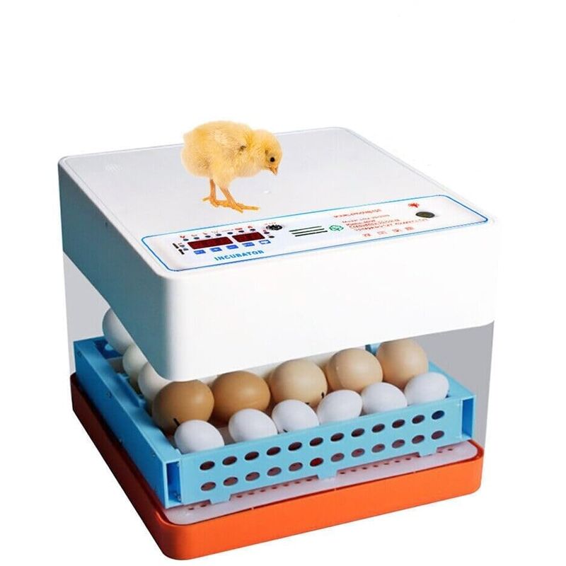 Senderpick - Lcd Incubateur 24 oeufs Rotation automatique Entièrement automatique Incubateur à œufs Incubateur à œufs Incubateur à œufs