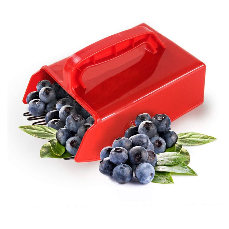 Le cueilleur de baies est livré avec un peigne en métal et une poignée ergonomique pour une cueillette facile des baies.