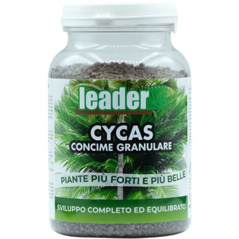 LEADER CONCIME GRANULARE CYCAS 1KG