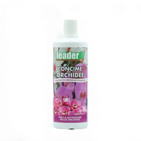 LEADER CONCIME ORCHIDEE