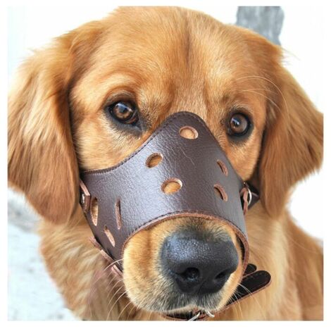 Leather Dog Muzzle Anti-Barking for Small and Medium Dogs L