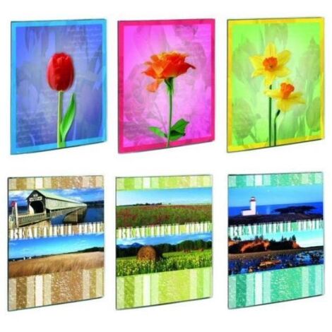 Lebez 2742 album fotografico e portalistino Multicolore 20 fogli 10 x 15 cm