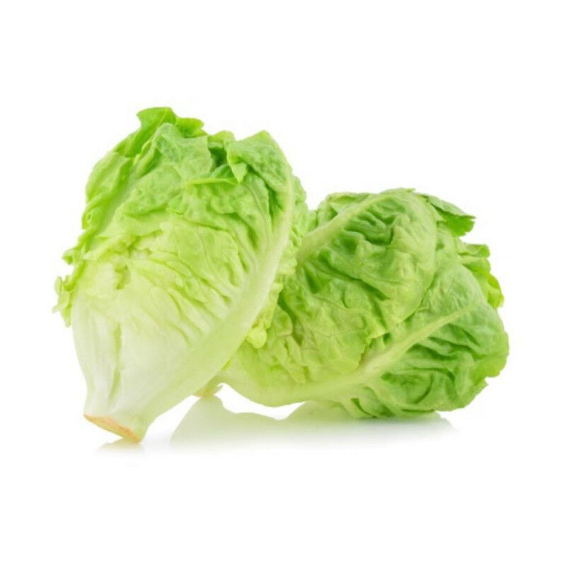 

Lechuga Cogollo Ecologica 6 Uds