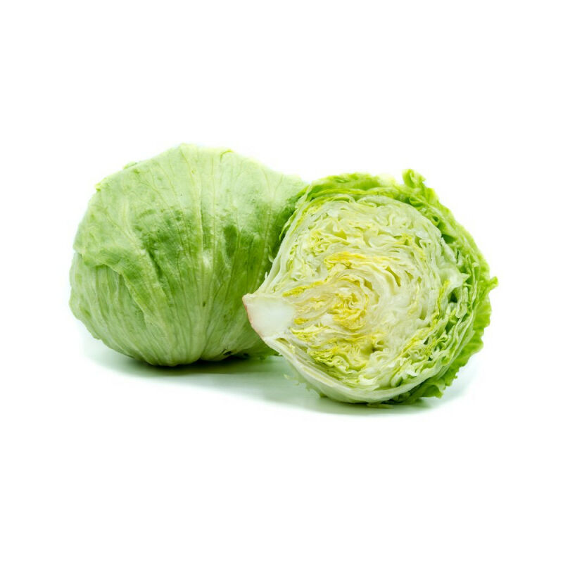 

Lechuga Ecologica Iceberg 6 Uds