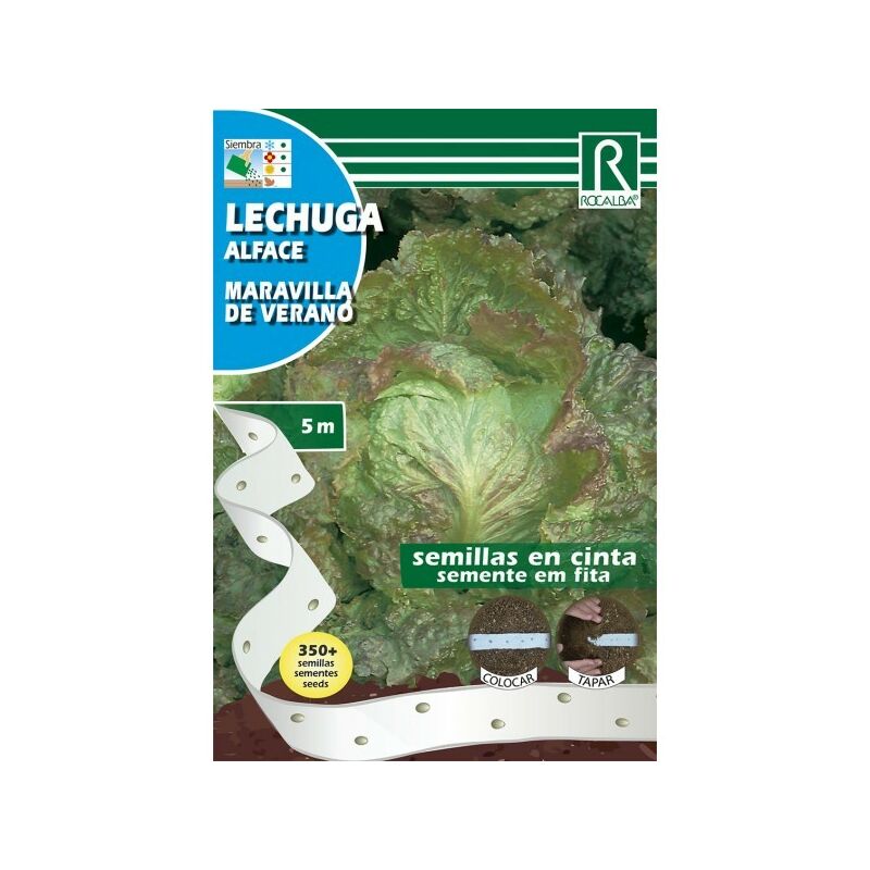 

Lechuga Maravilla De Verano