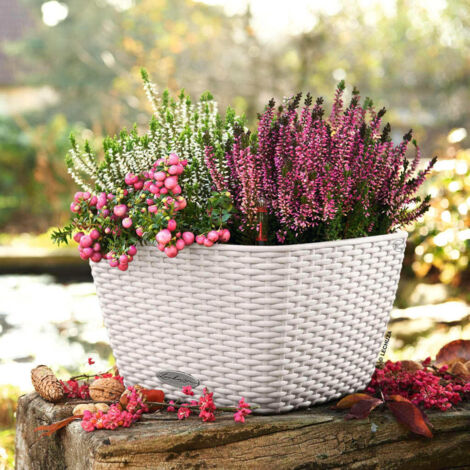 LECHUZA BACINO Cottage Komplettset weiß