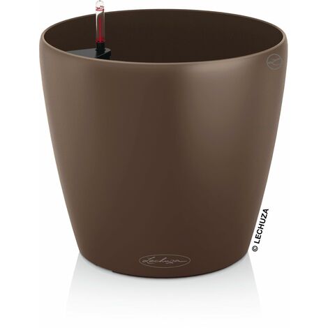 LECHUZA CLASSICO Color 28 noce moscata 13203
