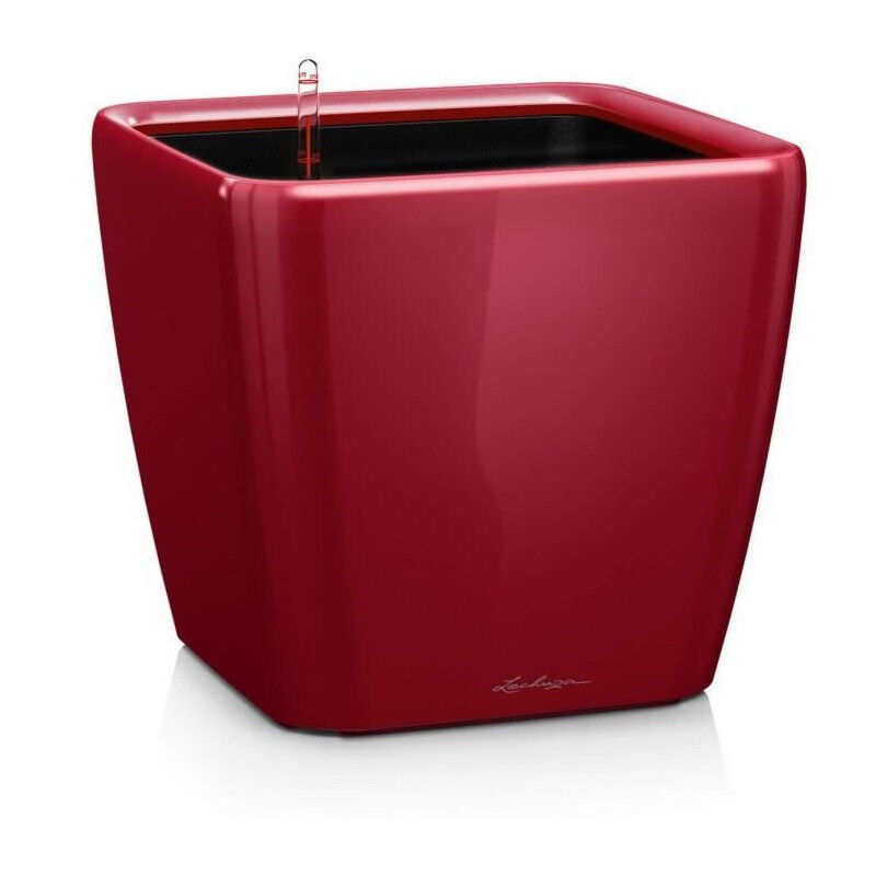 Lechuza - Pot de fleur Quadro Premium ls 50 - kit complet, rouge scarlet brillant