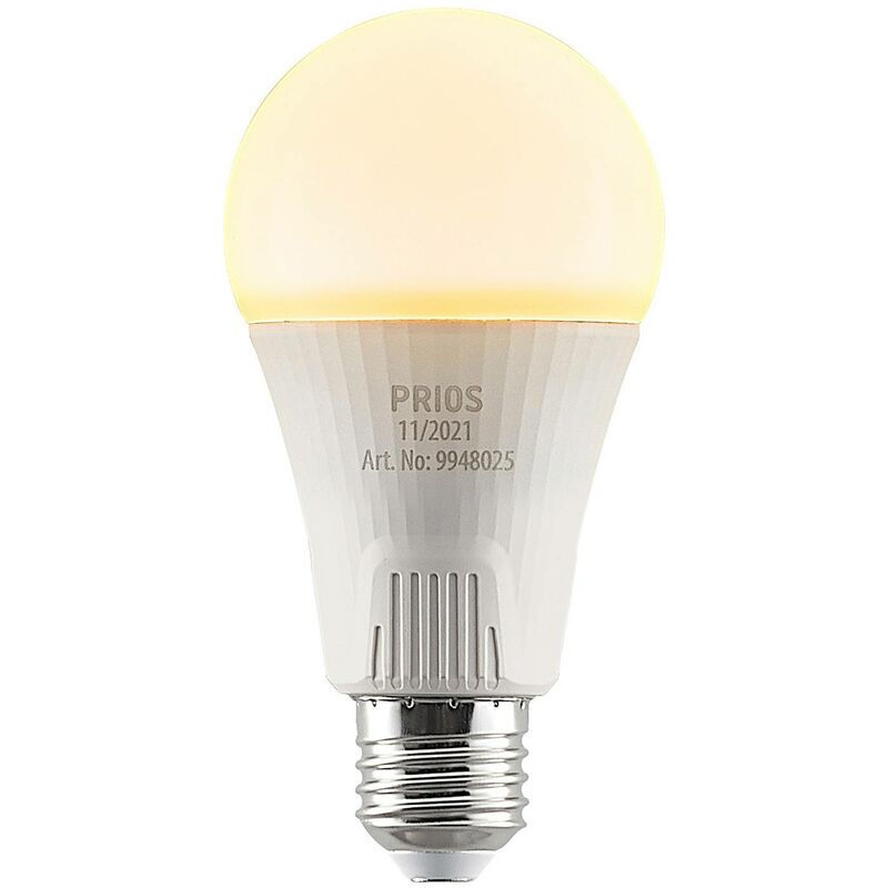 Led Bulb E27 led 15W made of Plastic (E27) from Prios