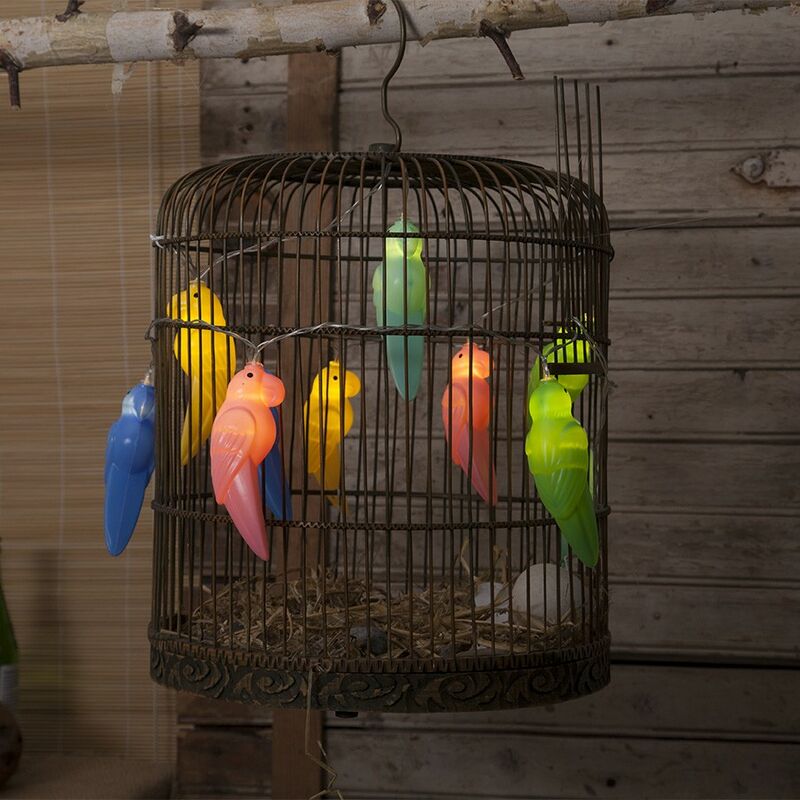 

LED cadena 10 coloridos loros con pilas